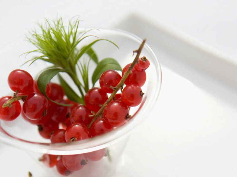 Red currants in a glass bowl