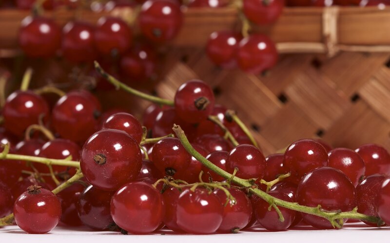 Red Currants in Basket — Natural