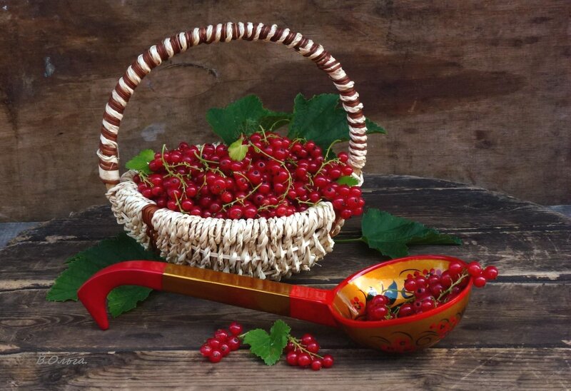 Red Currants in Basket — Rustic