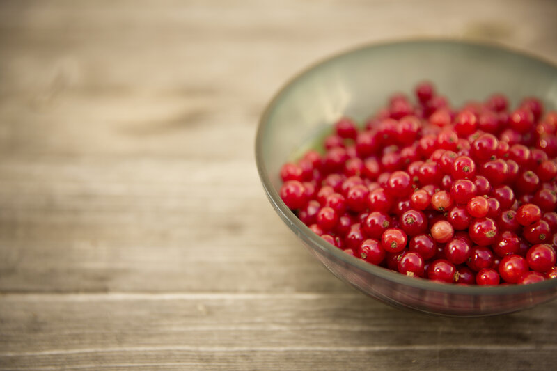 Red Currants in Bowl — Calm