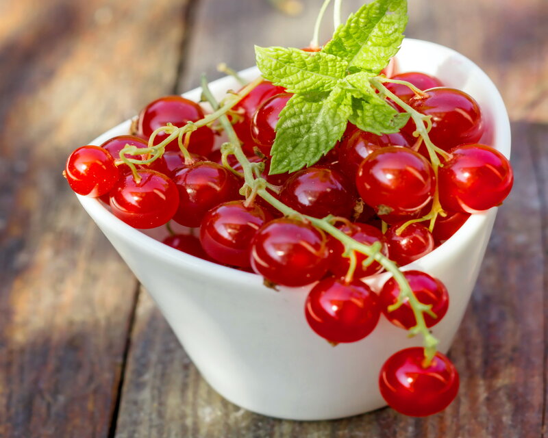 Red Currants in Bowl — Fresh