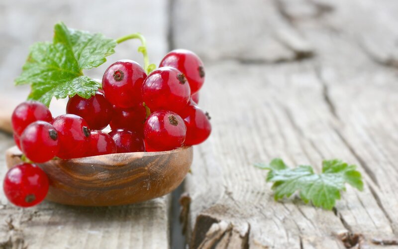 Red Currants in Bowl — Natural