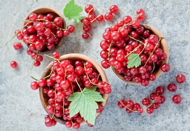 Red Currants in Bowls — Fresh