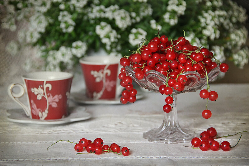 Red Currants in Glass Bowl