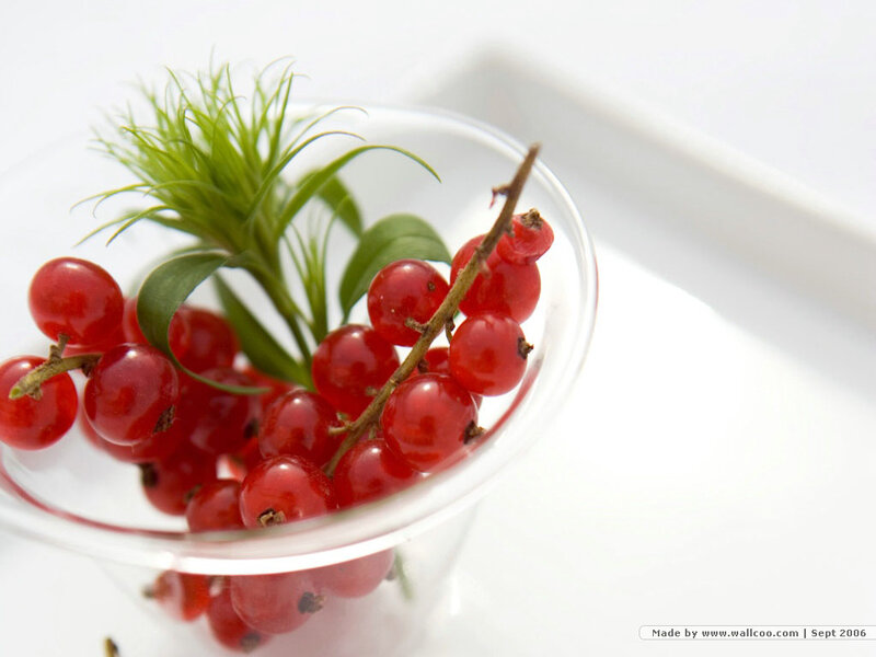 Red Currants in Glass — Calm