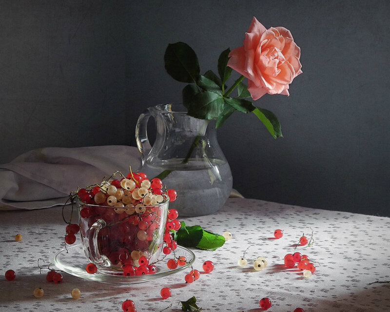 Red Currants in Glass Cup