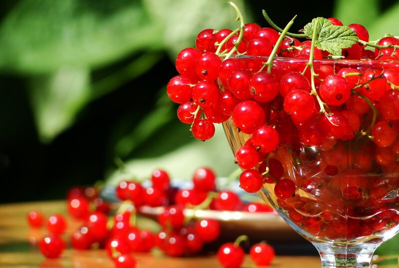 Red Currants in Glass — Natural