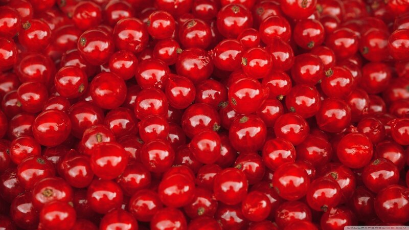 Red Currants in Pile