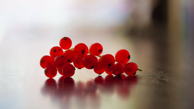 Red Currants on Surface