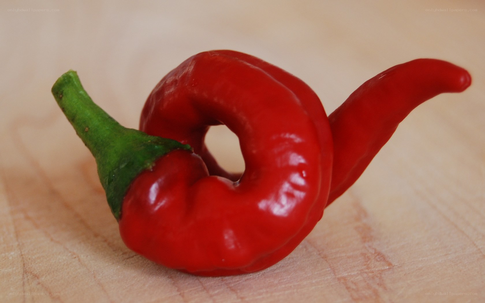 Red curved chili pepper