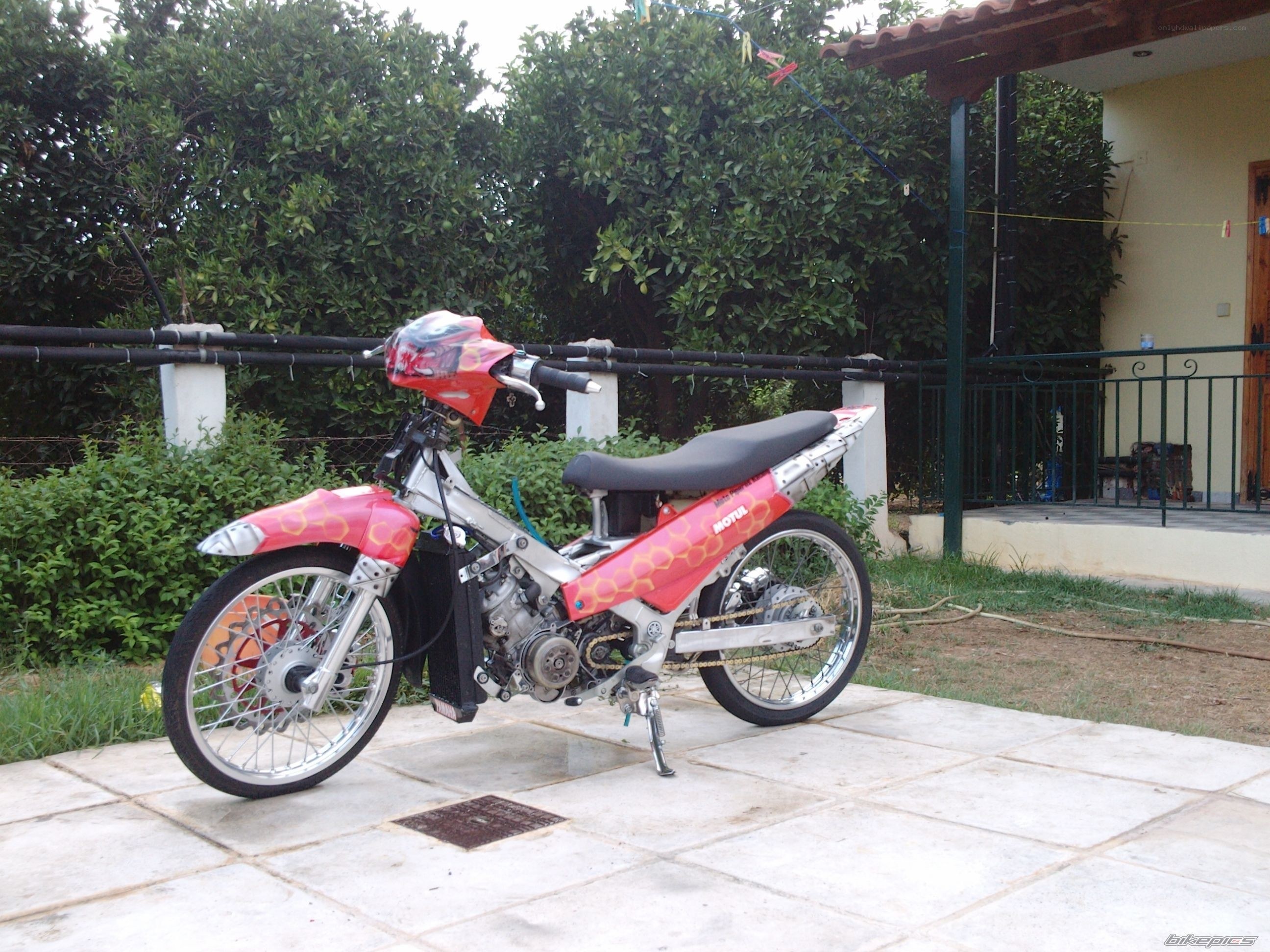 red custom motorcycle in garden