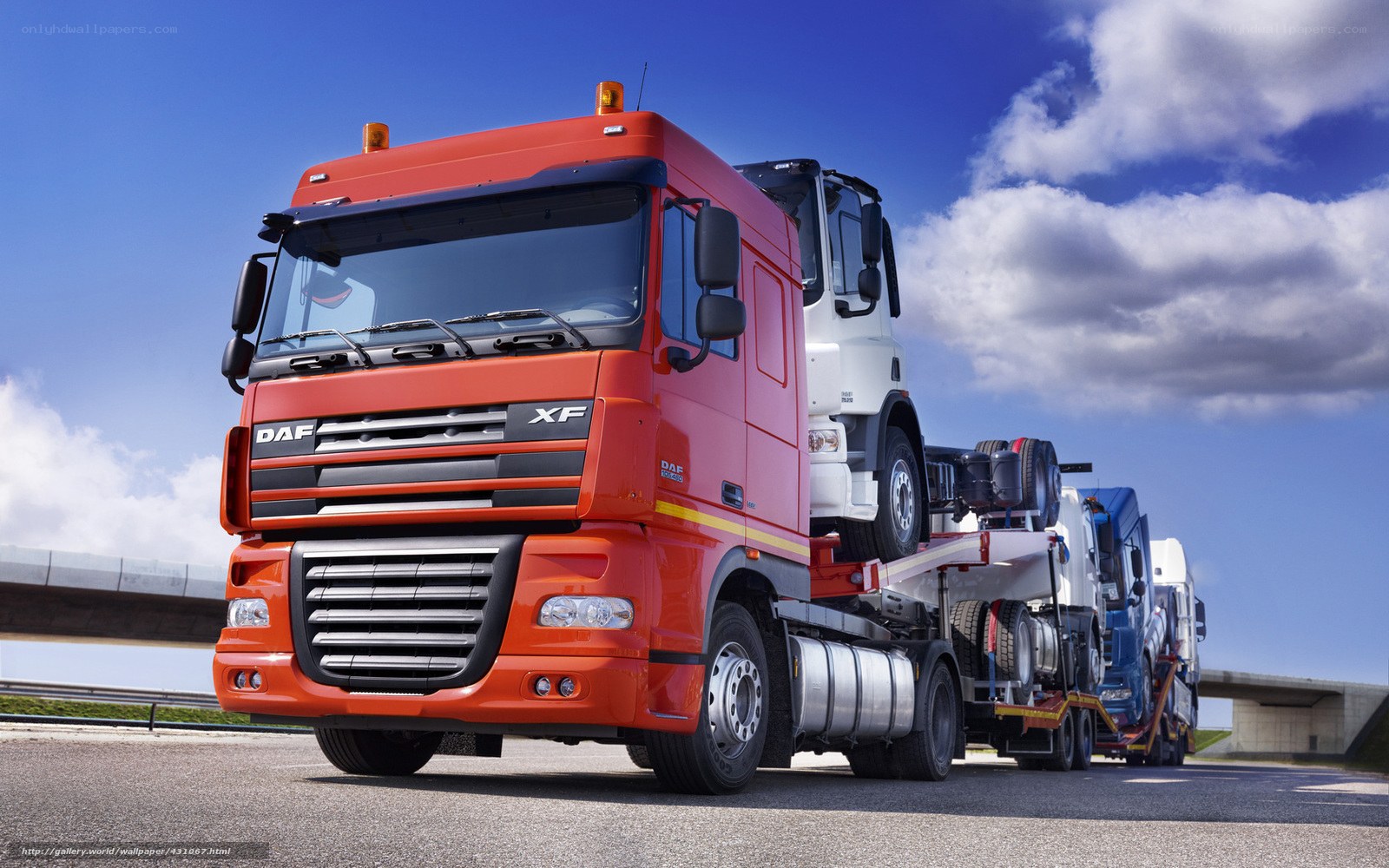 Red DAF XF truck transporting vehicles