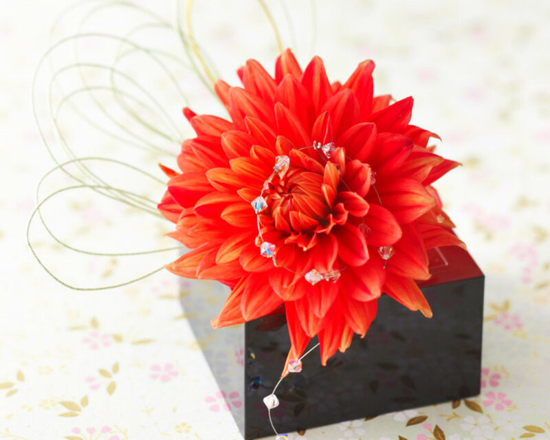 Red Dahlia Flower — Calm, Photograph, Crystal Beads, Wire, Black Box
