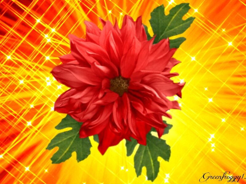 Red Dahlia Flower — Vibrant, Digital Art