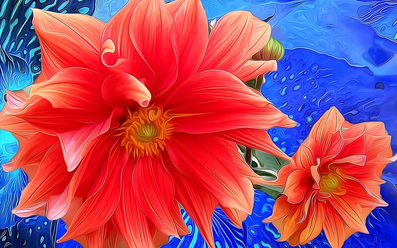 Red Dahlia Flowers — Vibrant, Digital Art