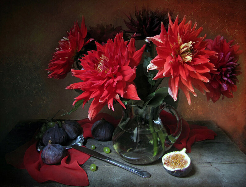 Red dahlia still life