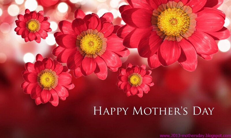 Red Daisies on Red Background