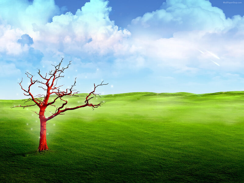 Red Dead Tree