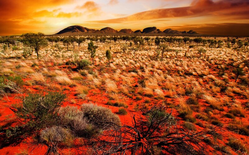 Red desert at sunset
