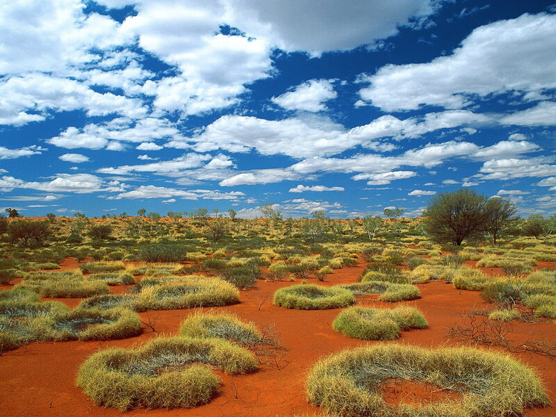 Red Desert Landscape — Blue, Serene, Afternoon