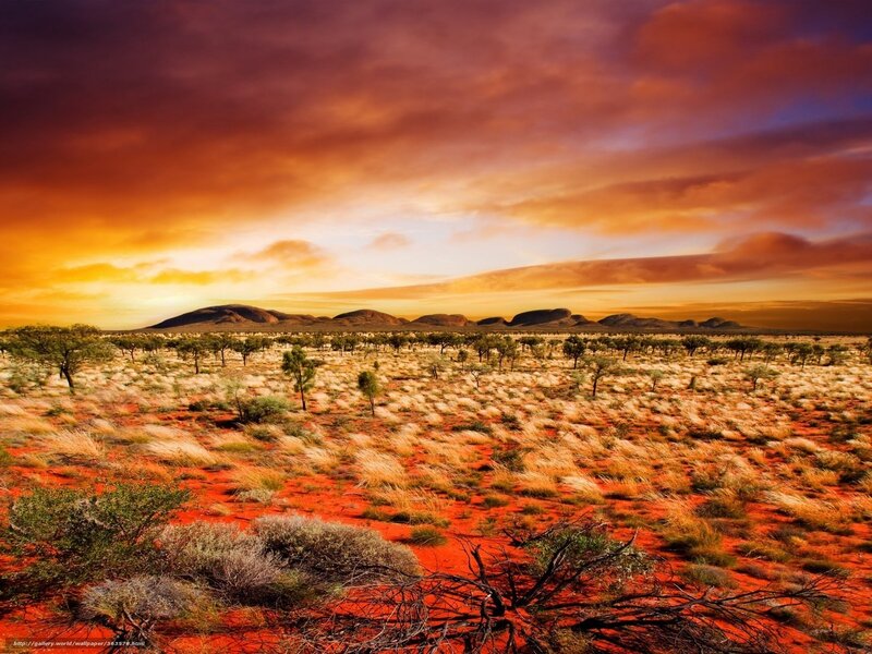 Red Desert Landscape — Orange, Dramatic, Sunset, Photograph, Trees, Hills
