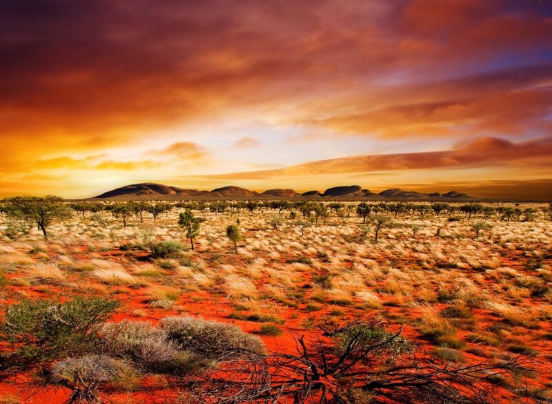Red Desert Landscape — Orange
