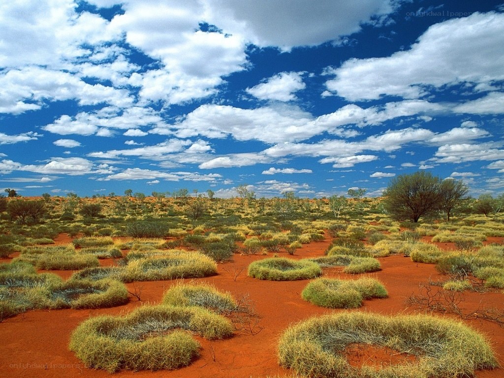 Red desert landscape with blue sky