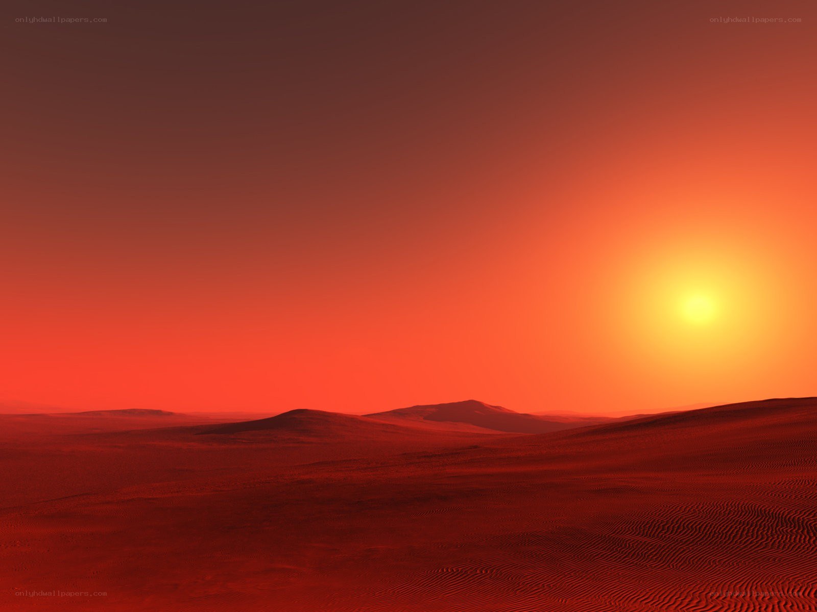 Red desert sunset