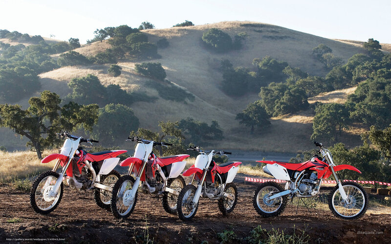 Red dirt bikes in a field