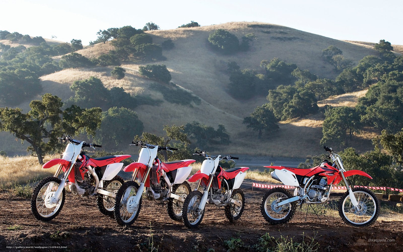 Red dirt bikes in a field
