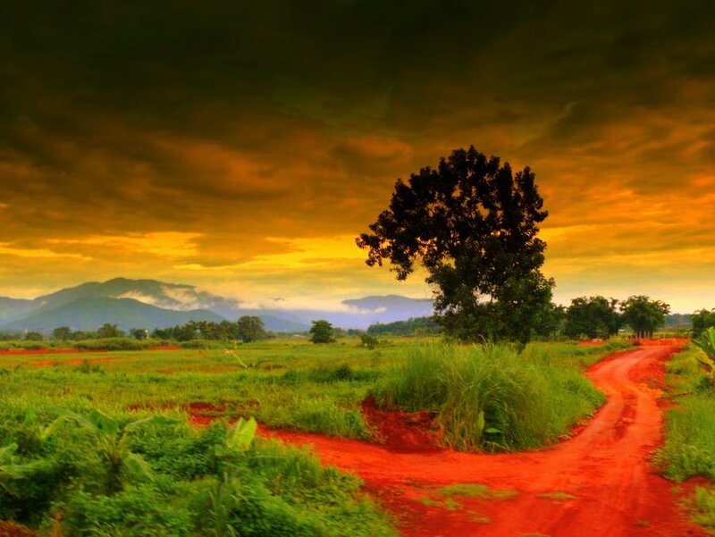 Red Dirt Path in Field