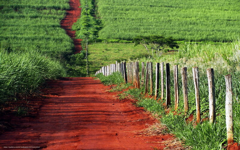 Red Dirt Road