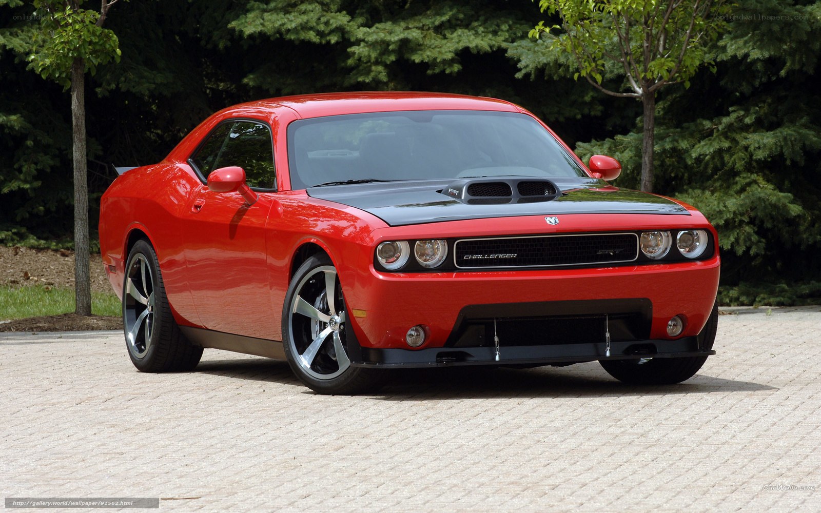 Red Dodge Challenger car