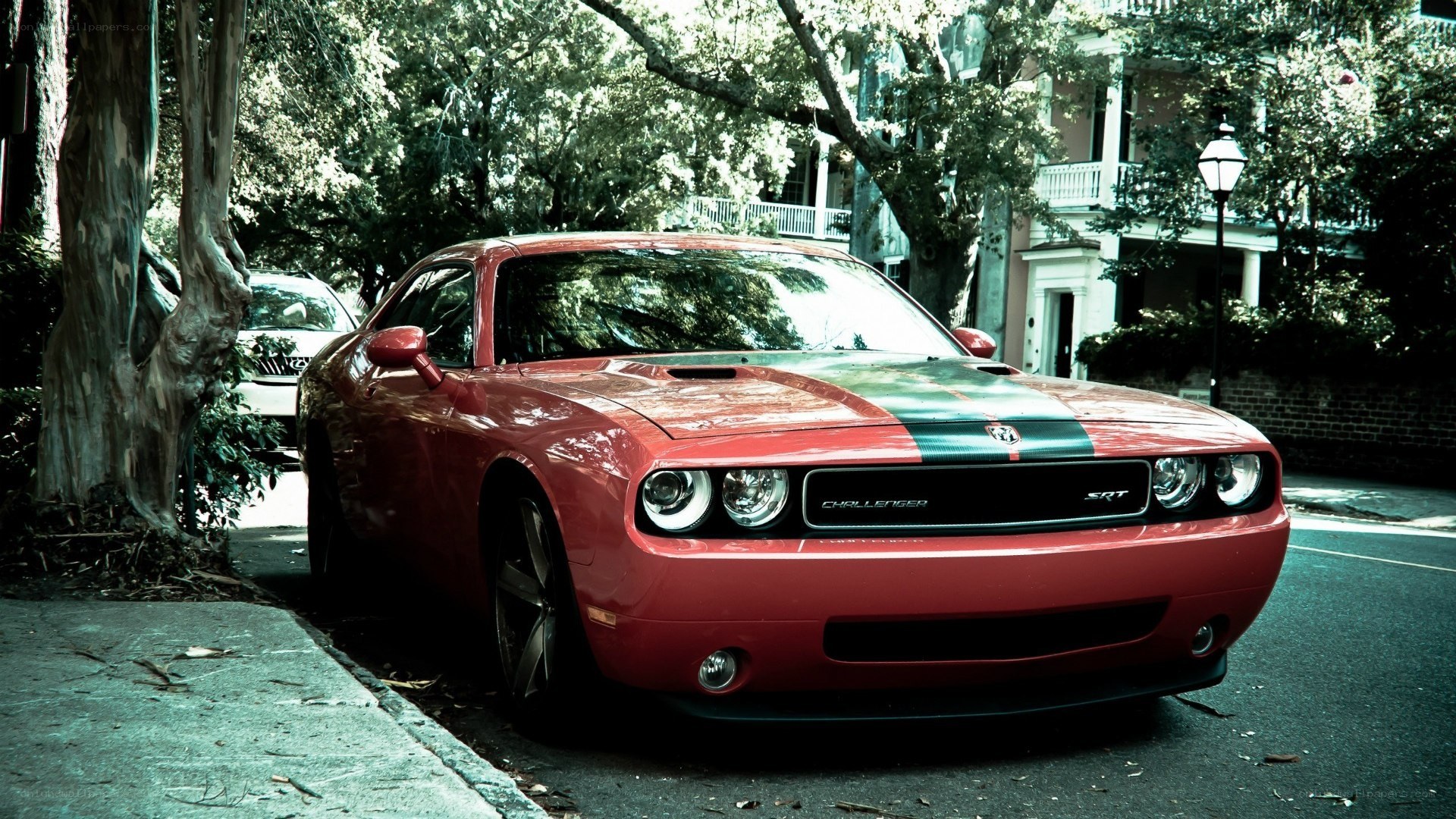 Red Dodge Challenger on a tree-lined street