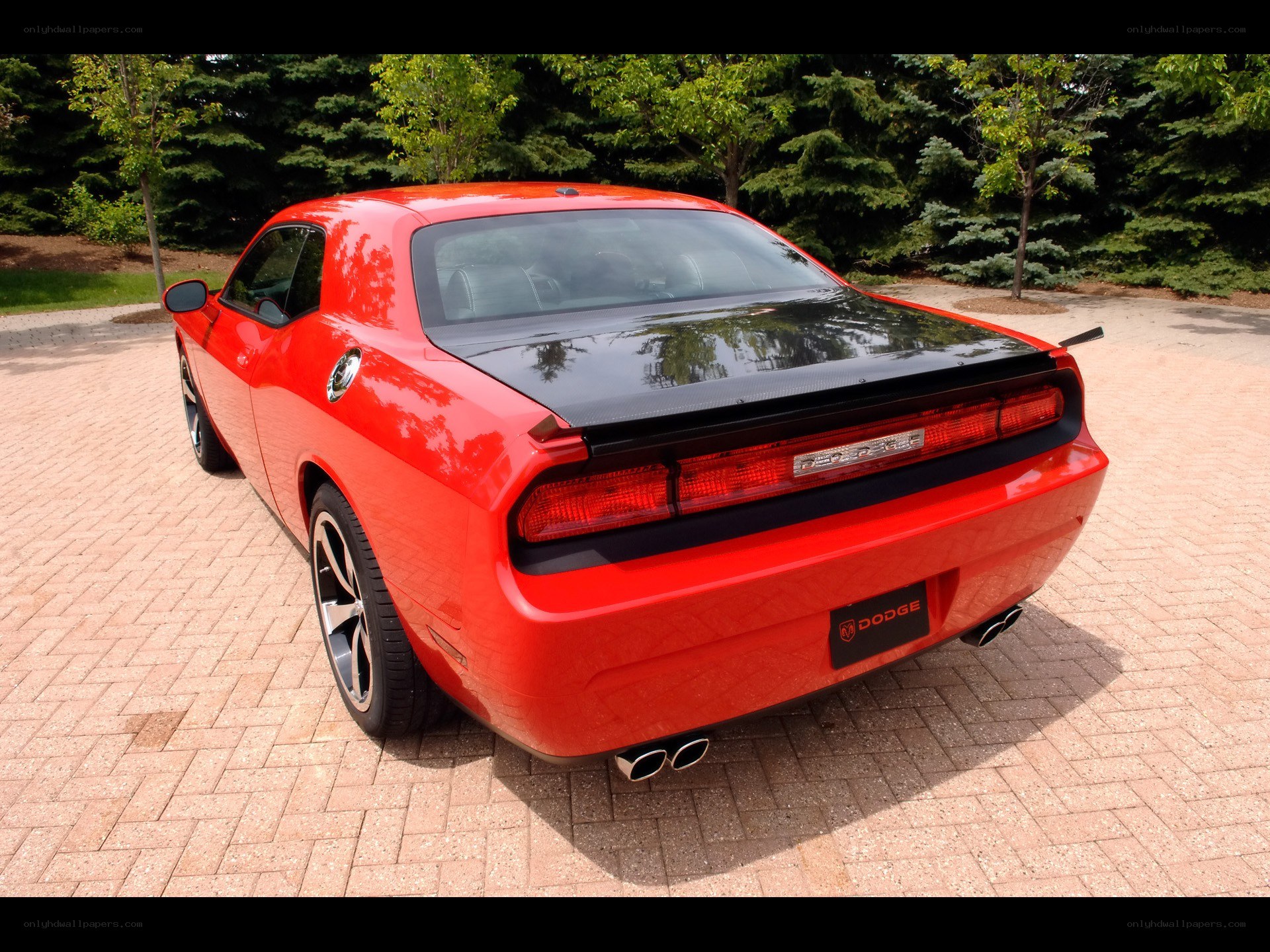 Red Dodge Challenger rear view