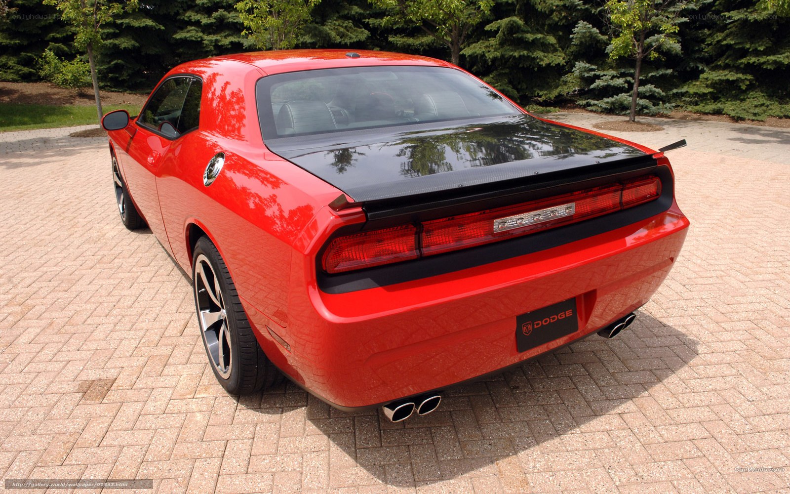 red dodge challenger rear view