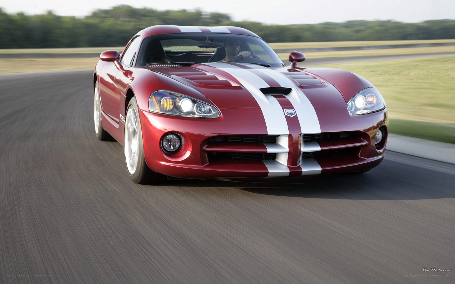Red Dodge Viper on a racetrack