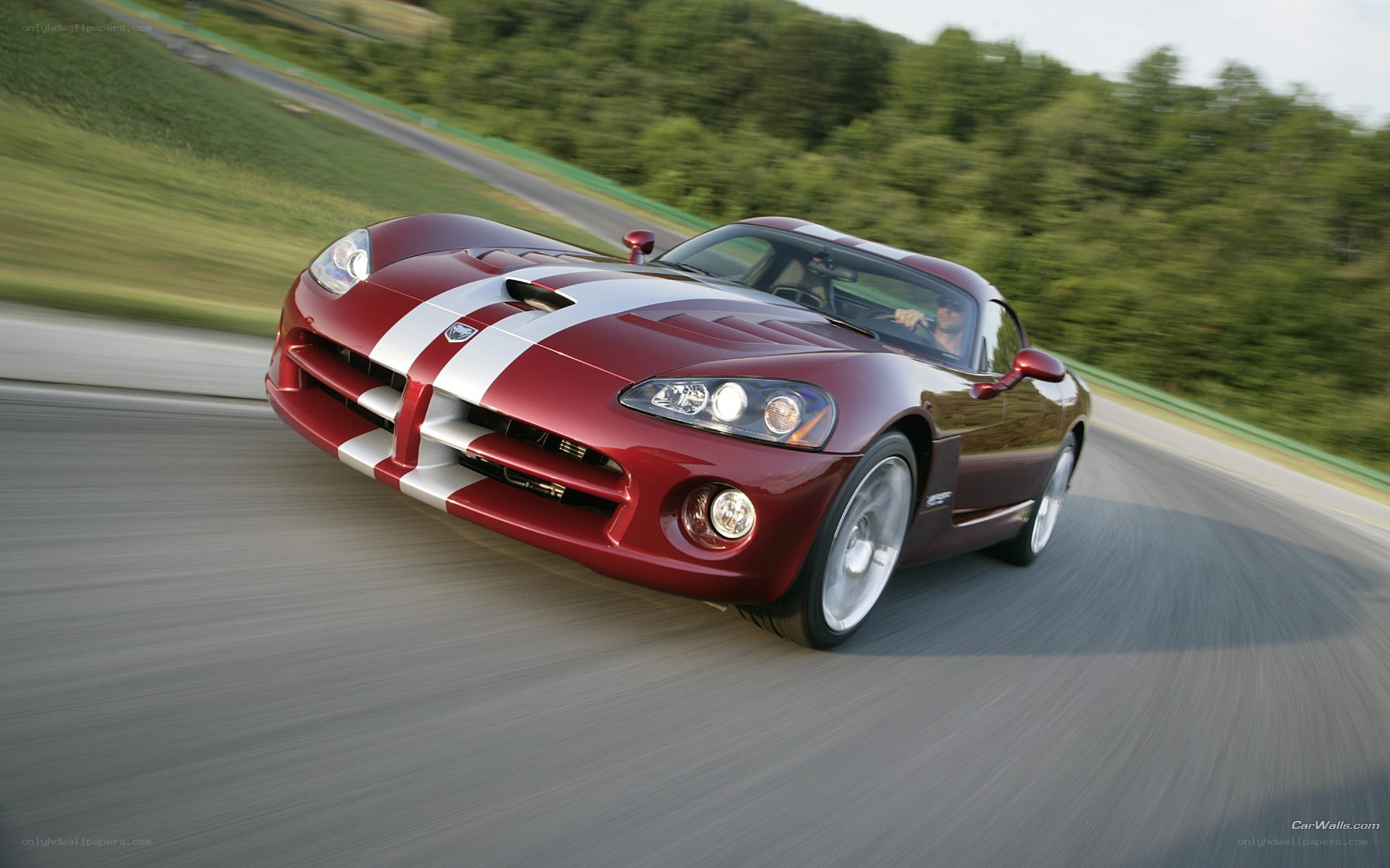 red dodge viper on a racetrack