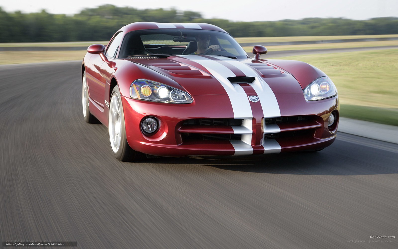 Red Dodge Viper on a racetrack