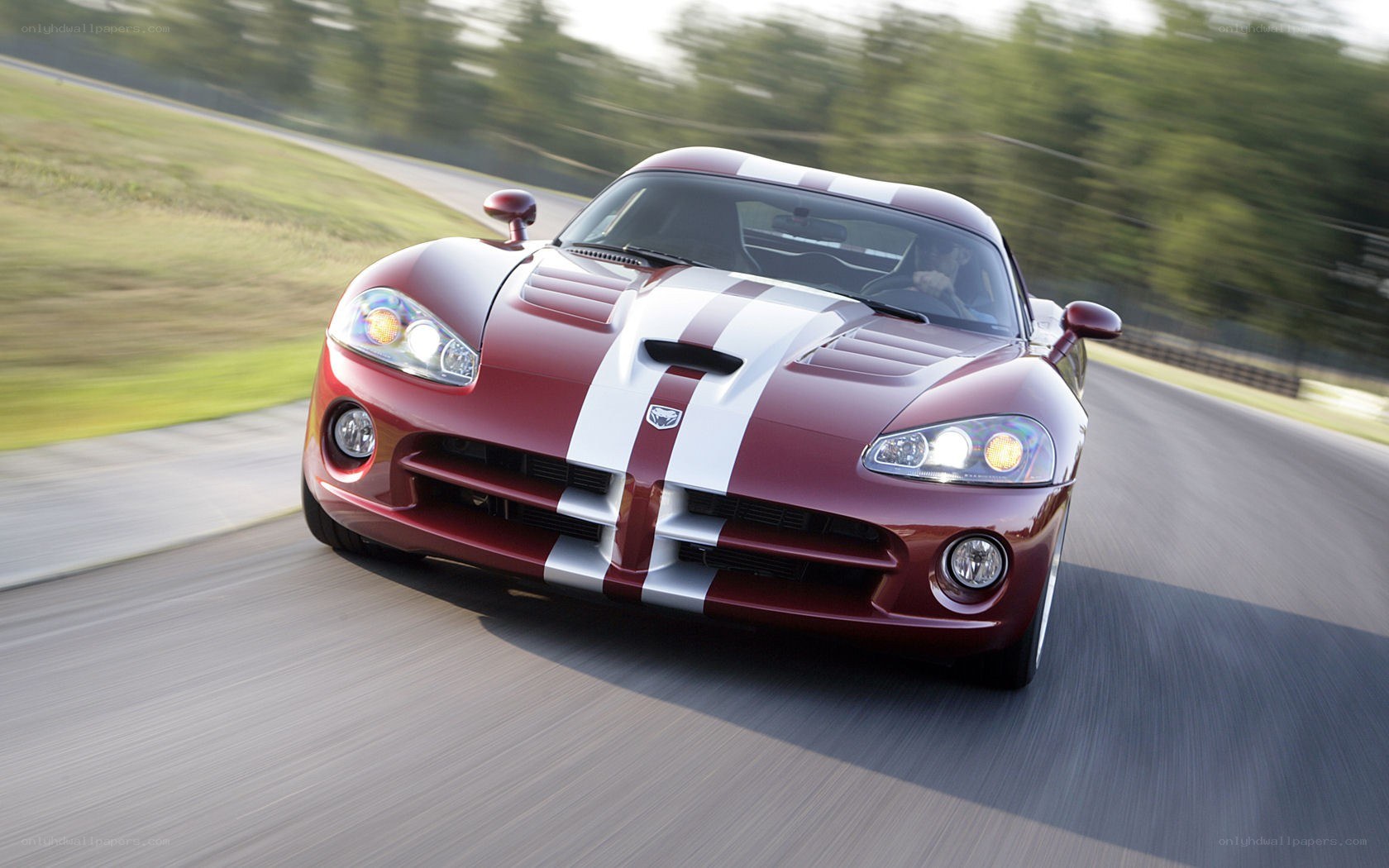 red dodge viper on a racetrack