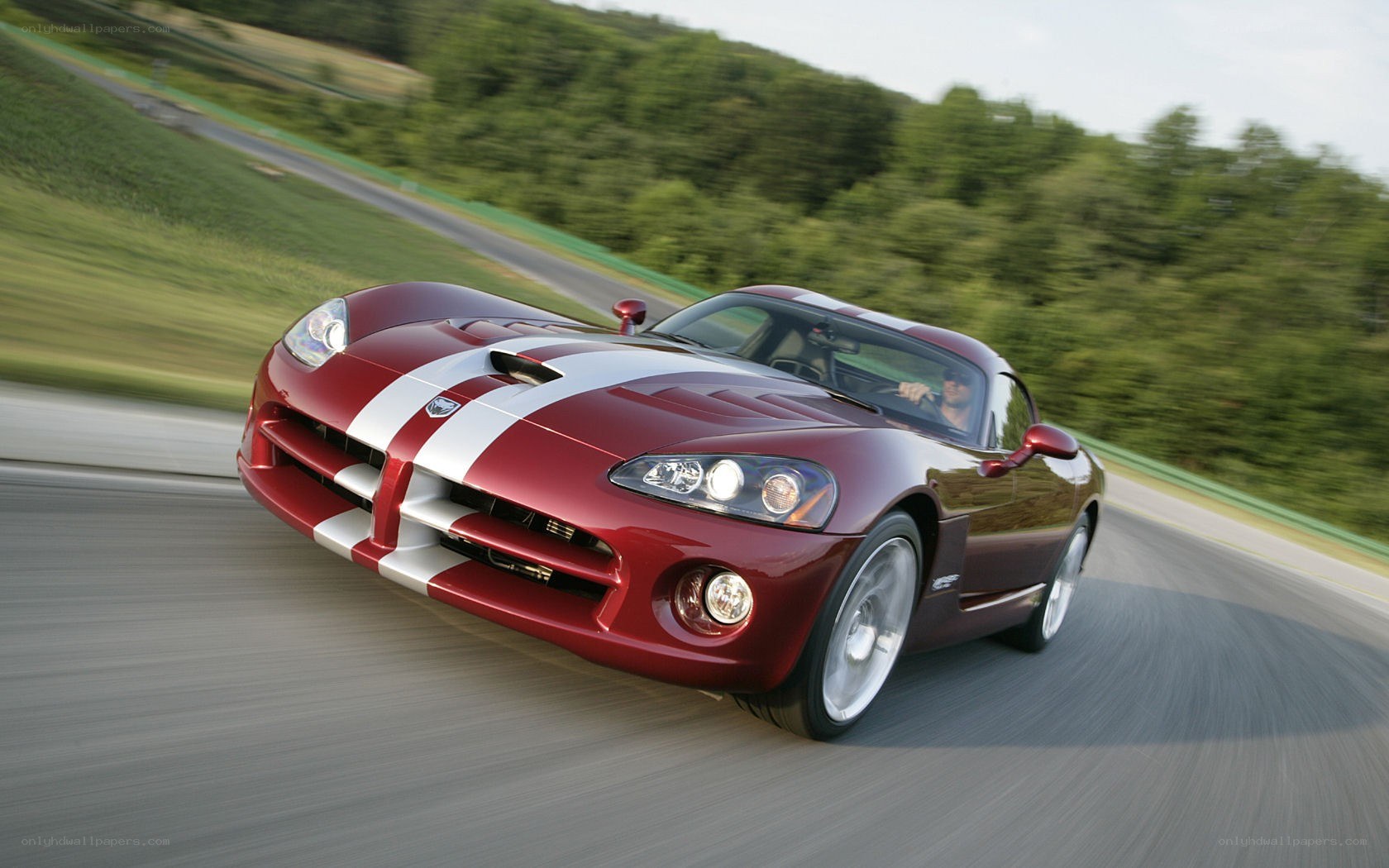 Red Dodge Viper on a racetrack