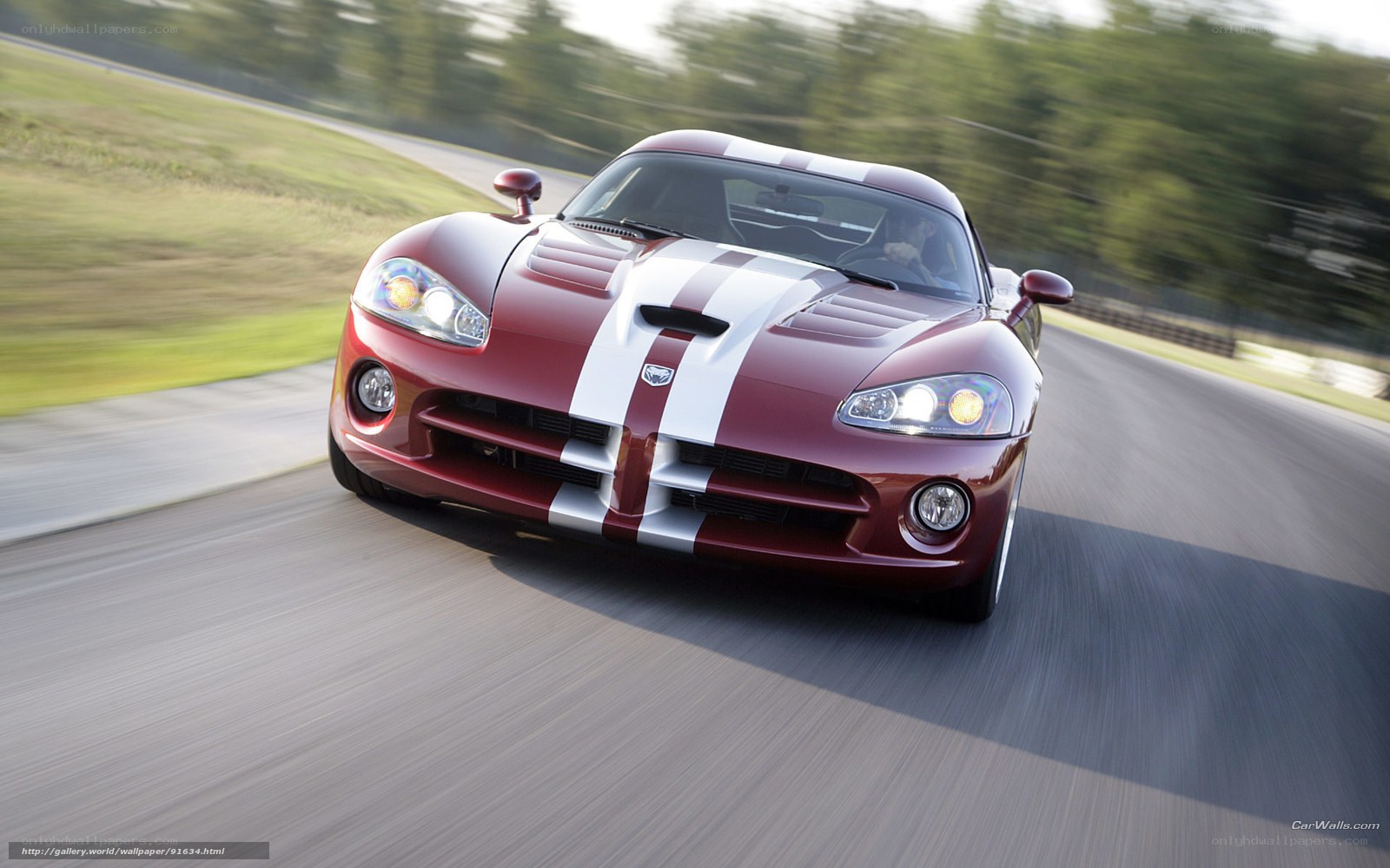Red Dodge Viper on a racetrack