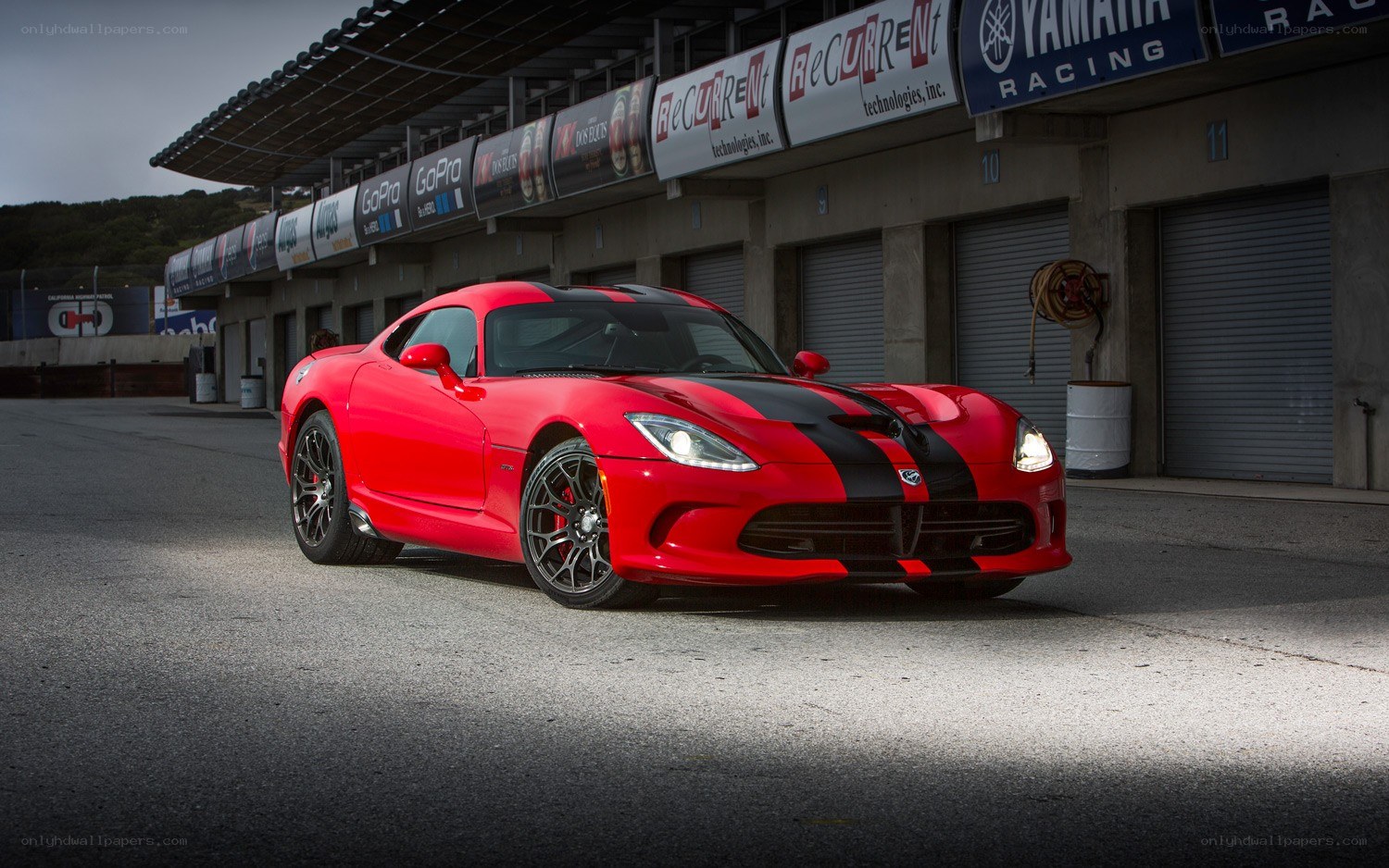 Red Dodge Viper on racetrack