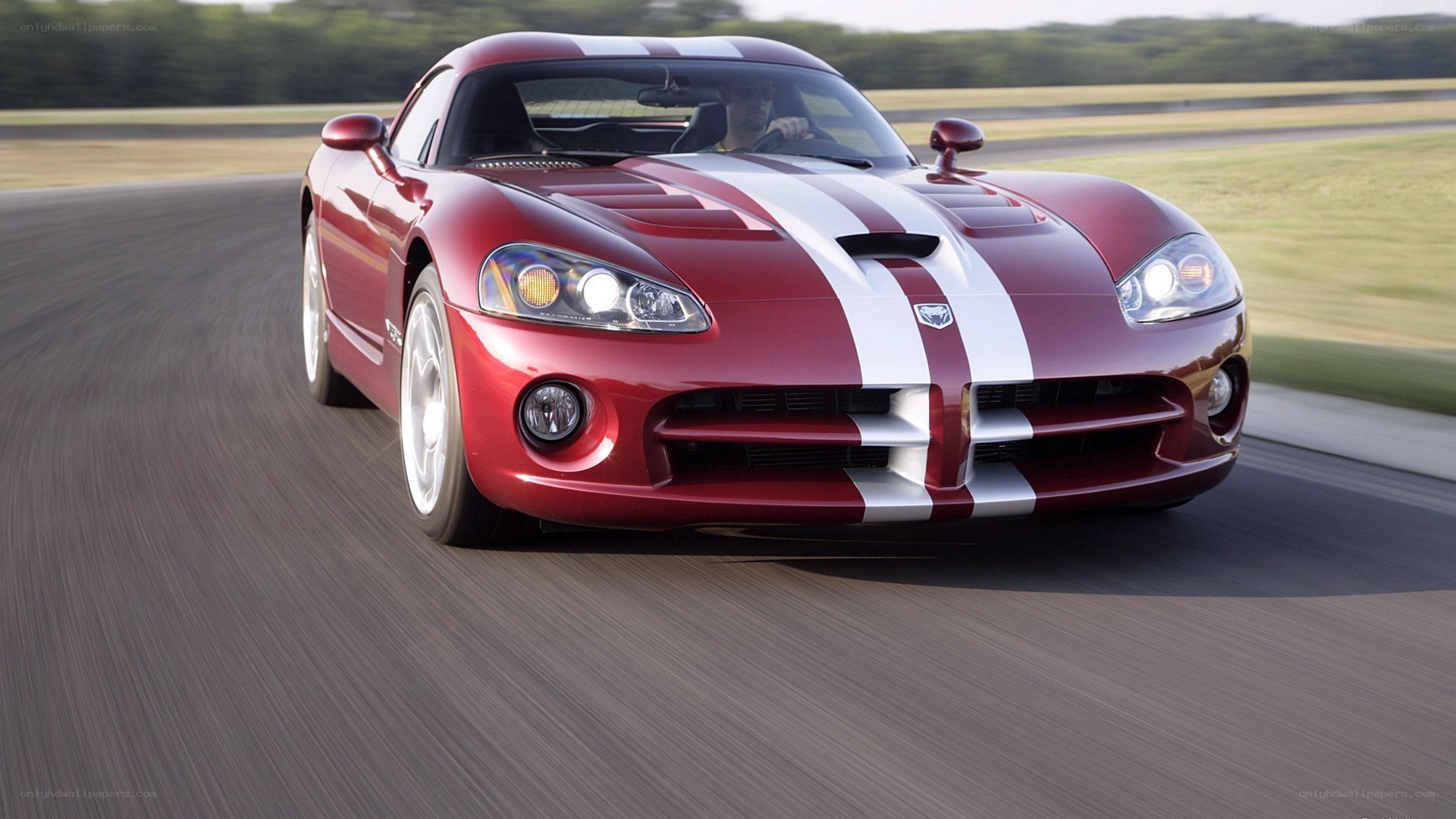 red dodge viper on track