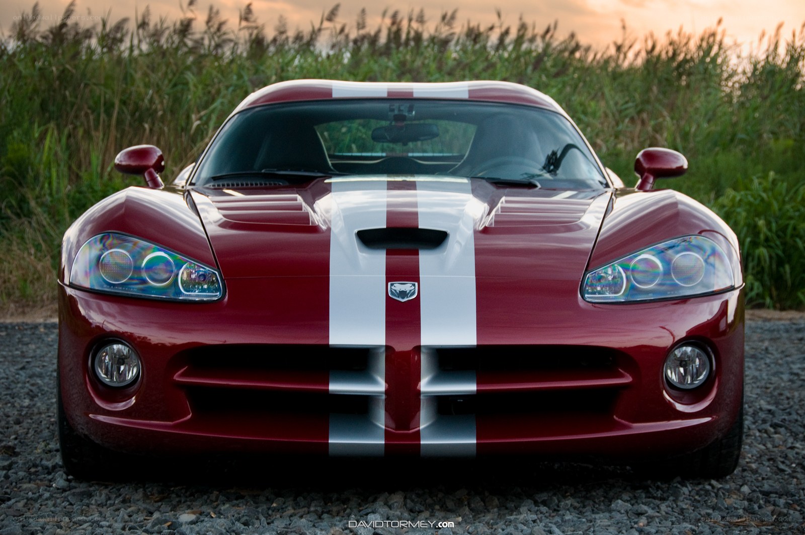 Red Dodge Viper with stripes