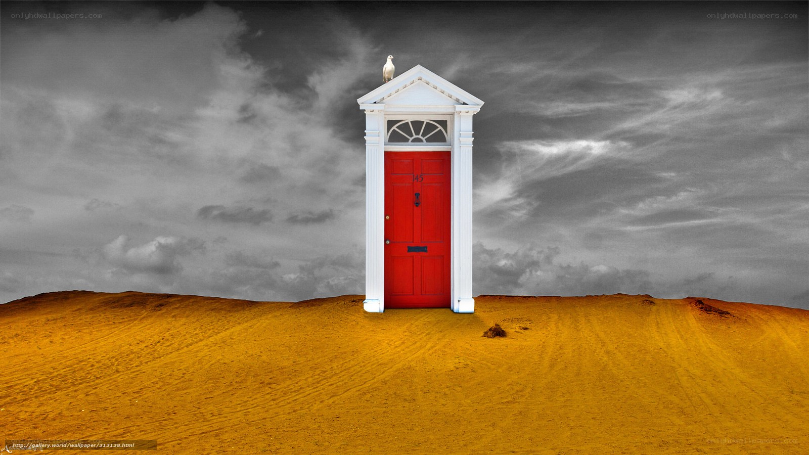 Red door in desert landscape