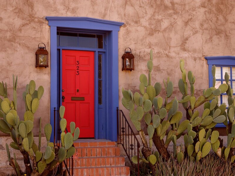 Red door with cacti