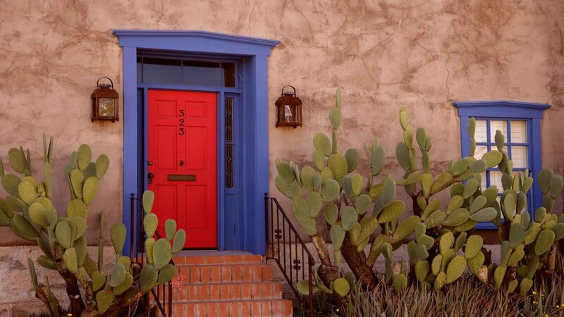 red door with cacti
