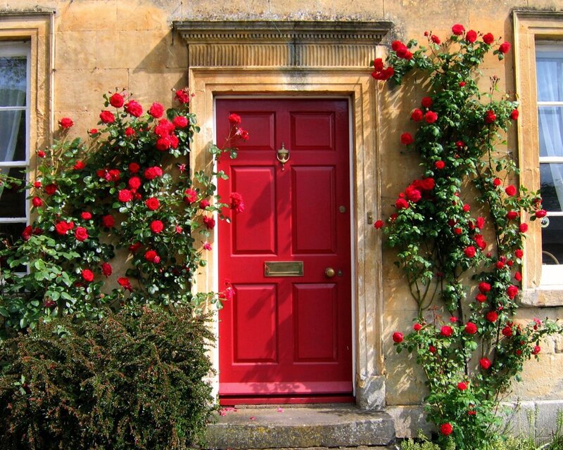 Red door with rose vines