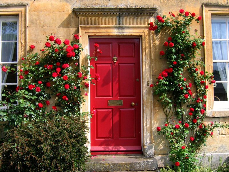 Red Door with Roses — Serene, Afternoon